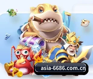 6686官网的故事